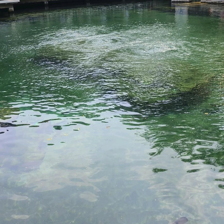 桃子妈妈（日用百货）