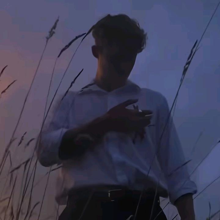 新来的土狗小趴菜