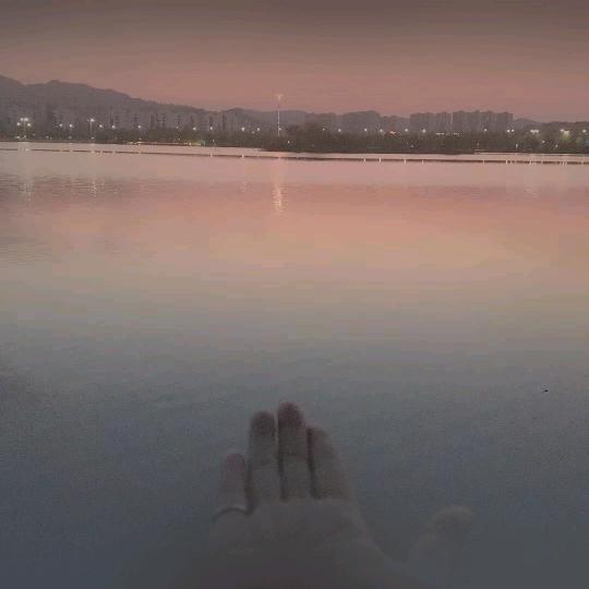 何不齿