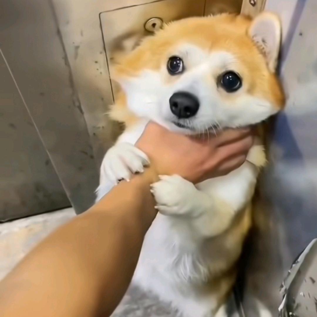 冬阳玩游戏