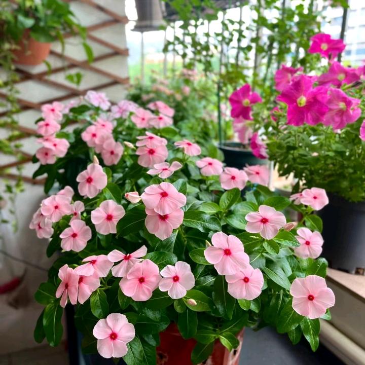 爱你❤永不改变