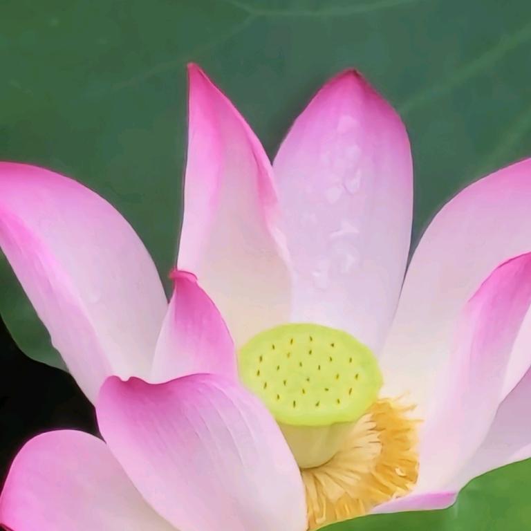 用户万情旧爱