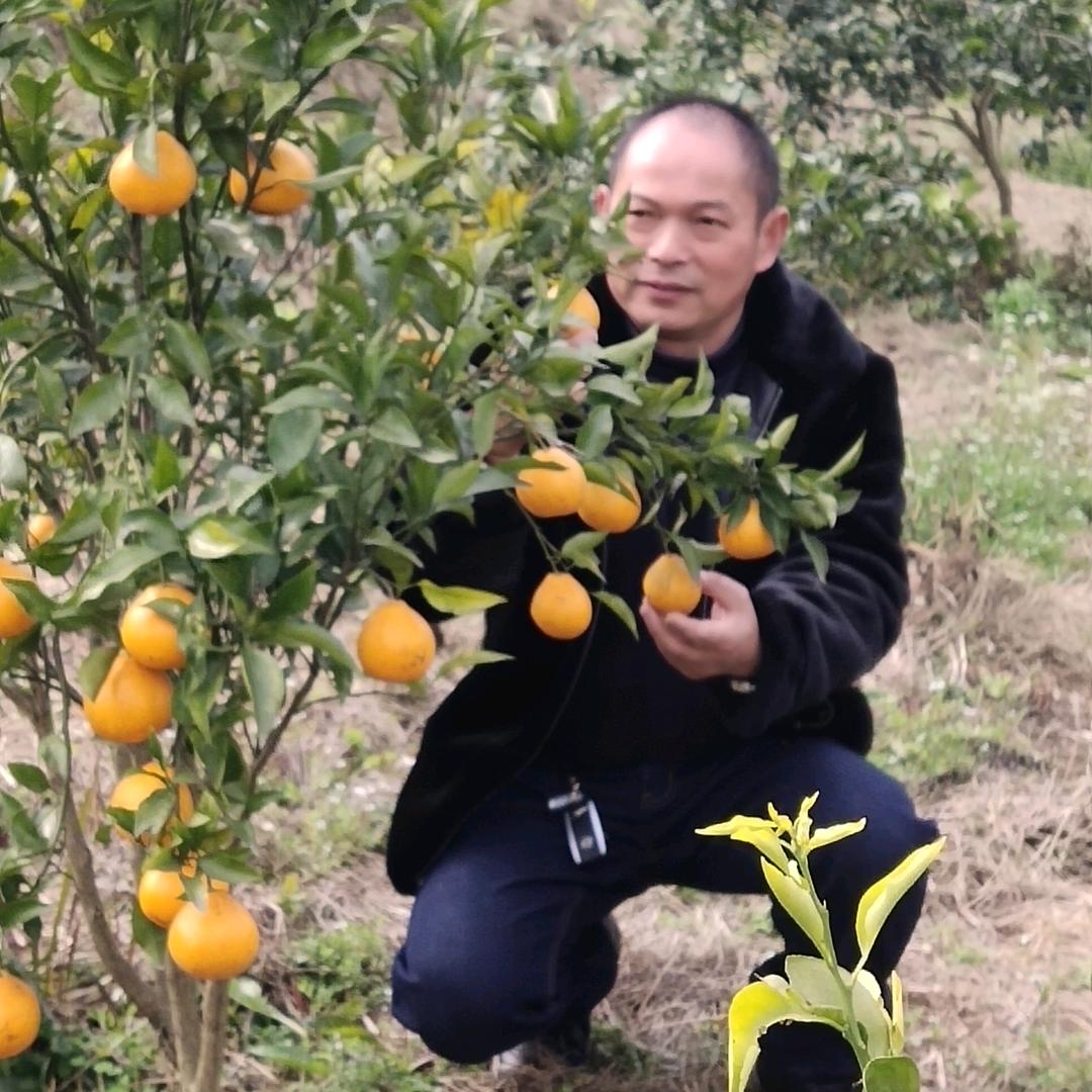旭日🍁🎙️❄️晚上20:40首播