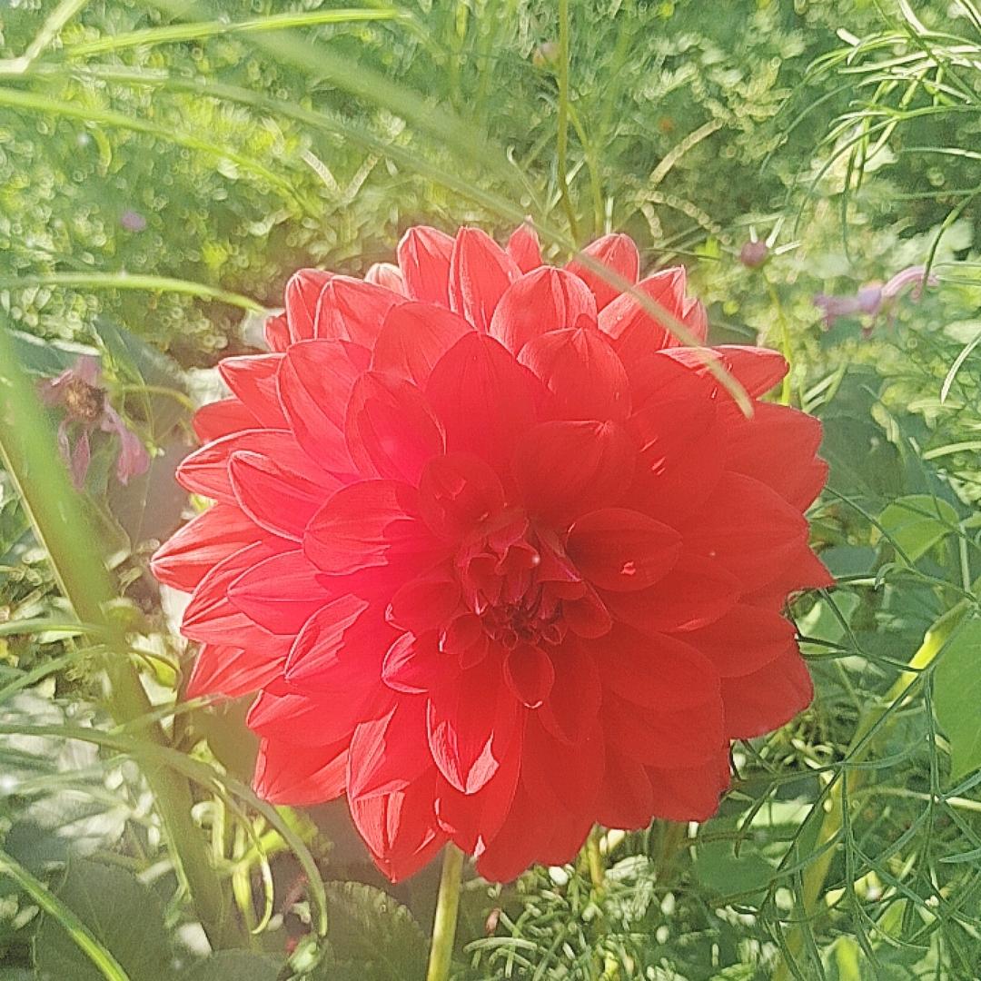 生活百态247
