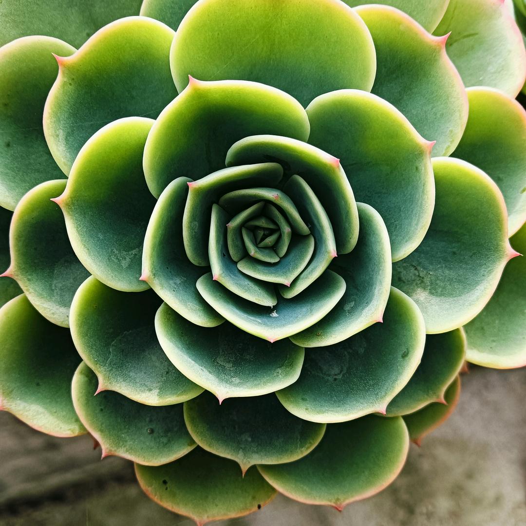 离殇