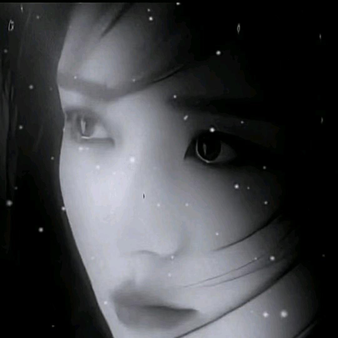 🌺人生如梦🌸