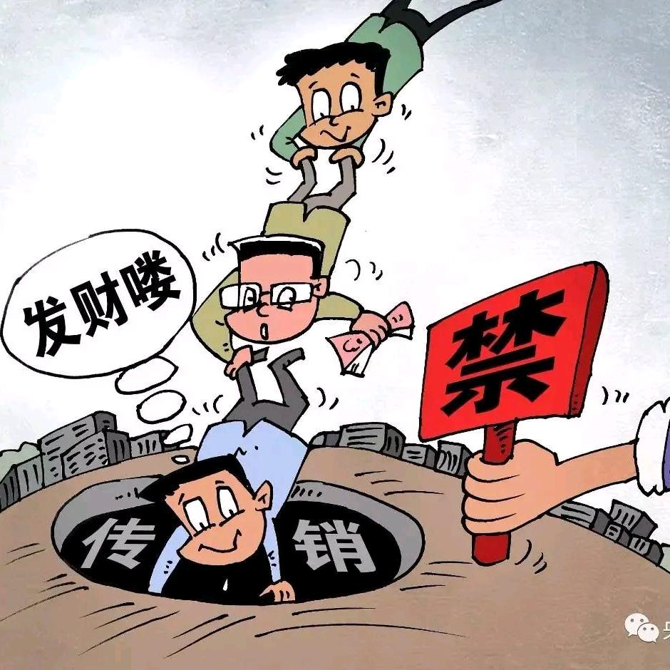 杨展真之棒商务官方号