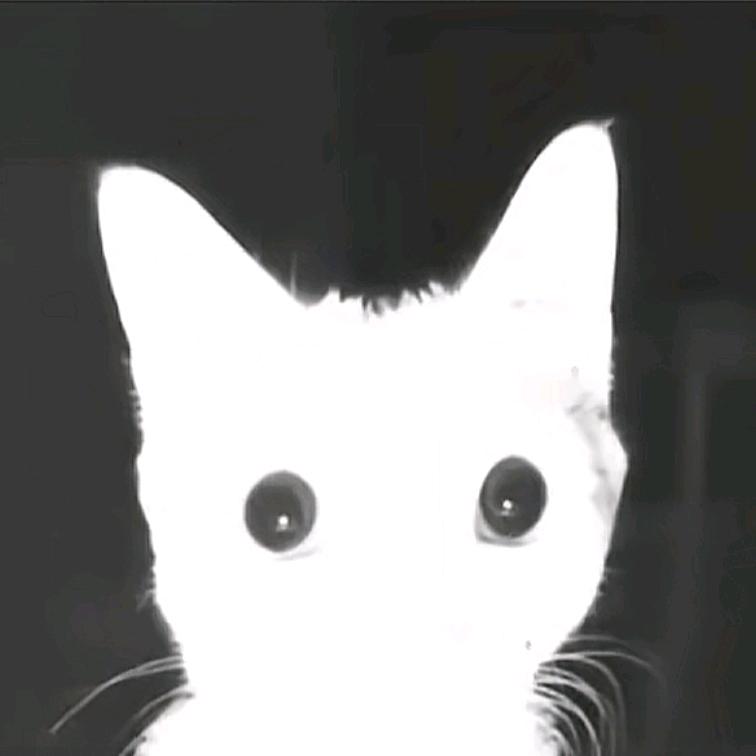 几点几