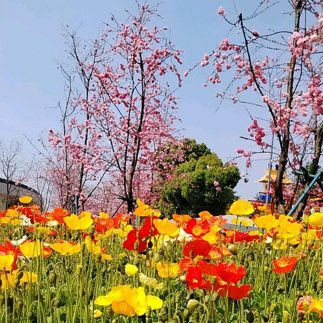 （努力靠自己）不脱妆粉底液