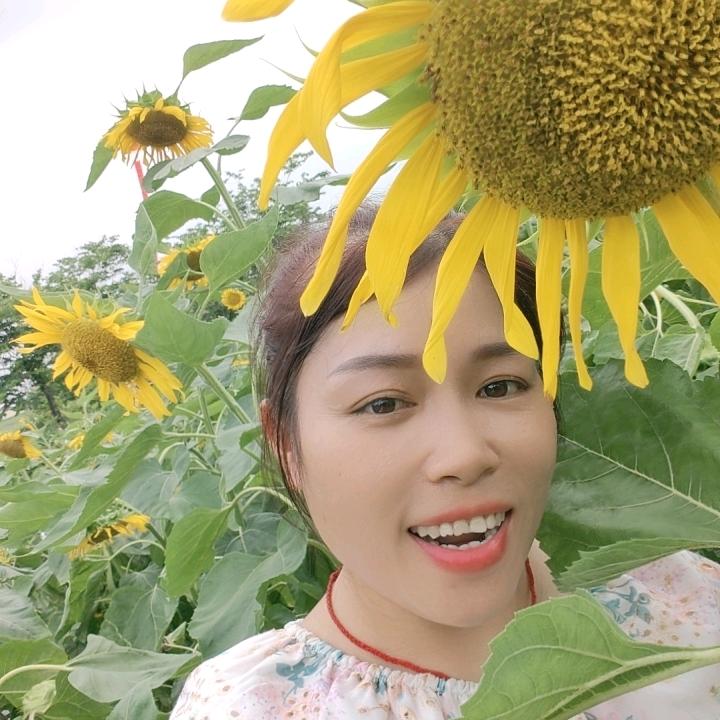 篮子