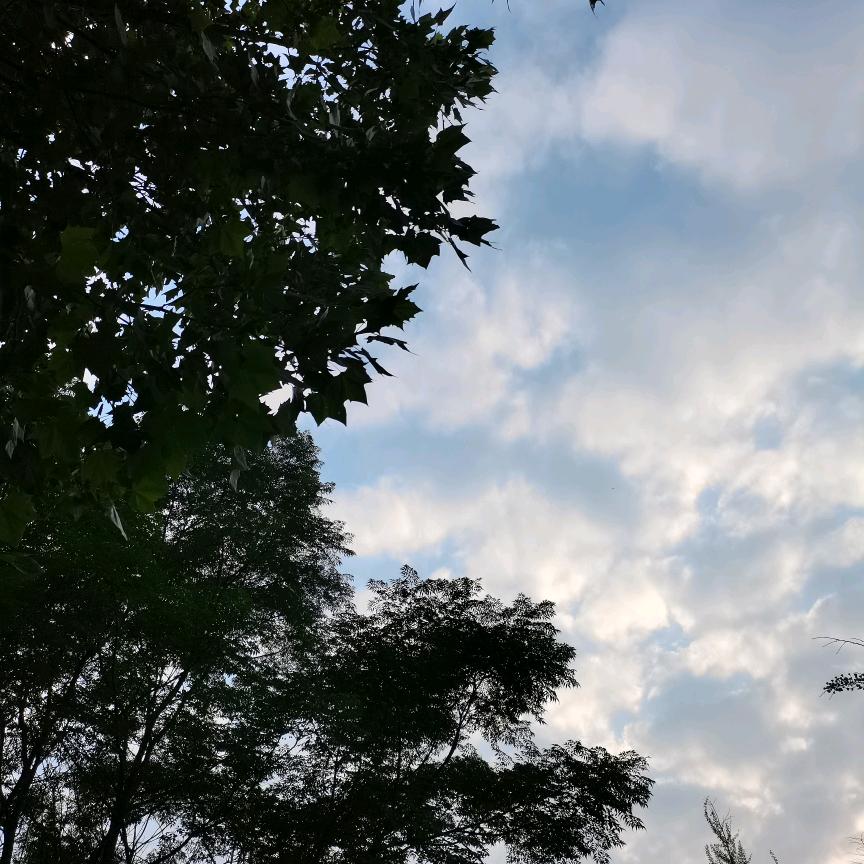 生活
