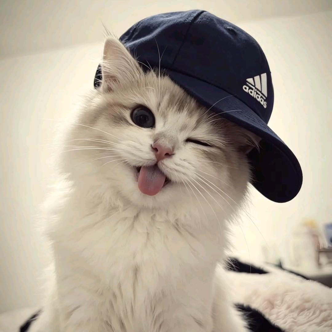 小爻壹头像