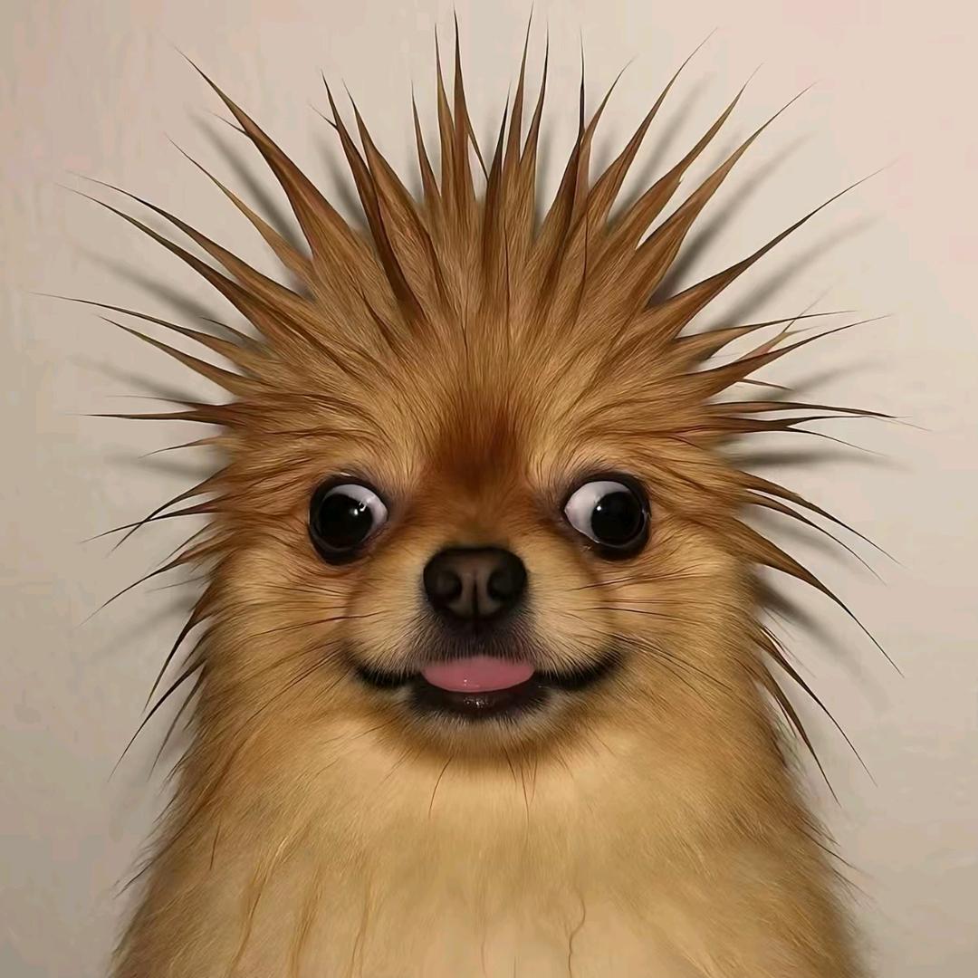 二等分的路易十六