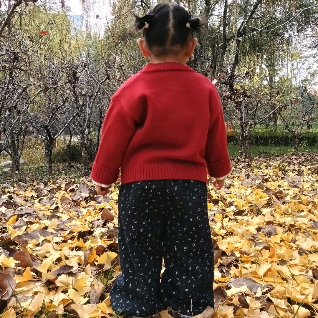 所求皆如愿，所爱皆相伴