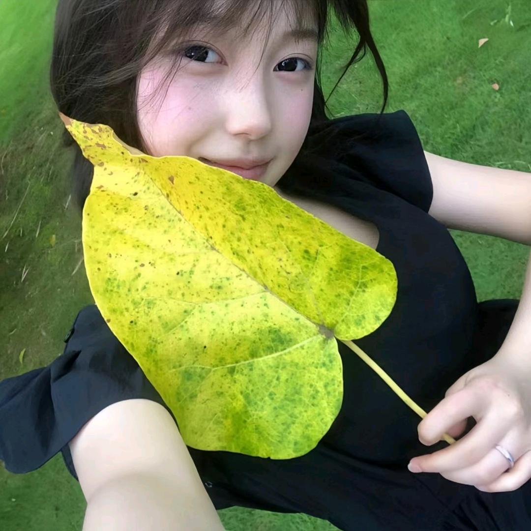 江听晚