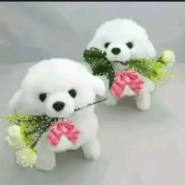 💞喜乐哥💕