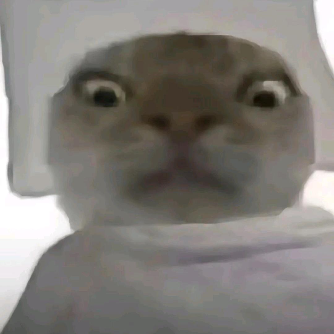 老臭手66