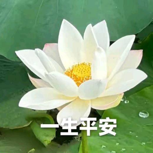 怡然快乐
