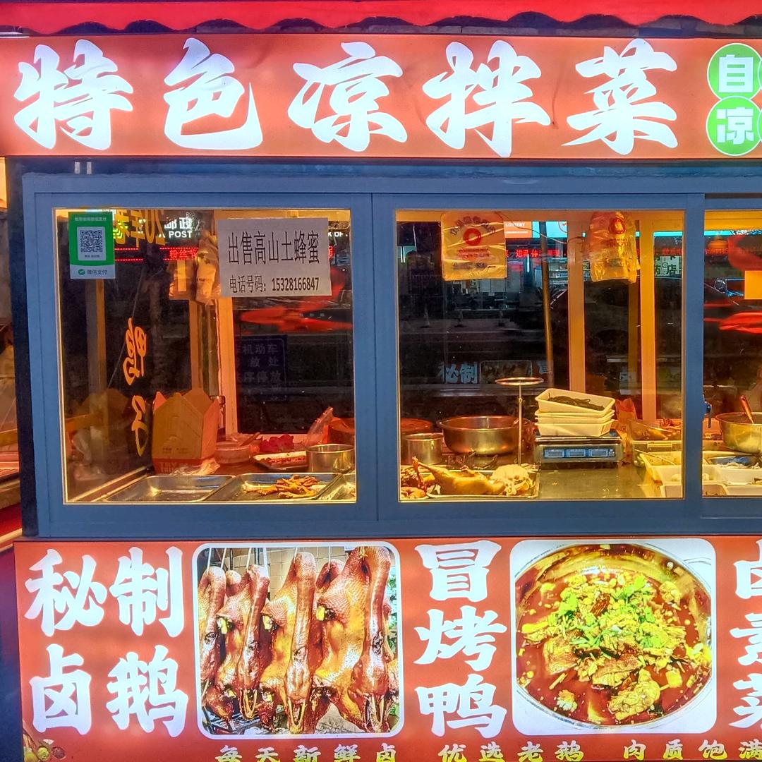 始阳《草坝甜皮鸭》