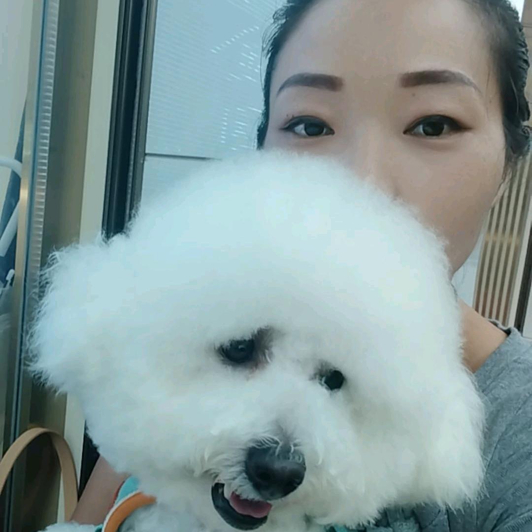 穆小姐
