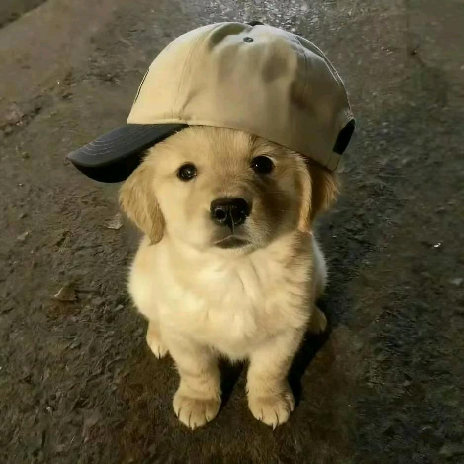 对方正在输入中