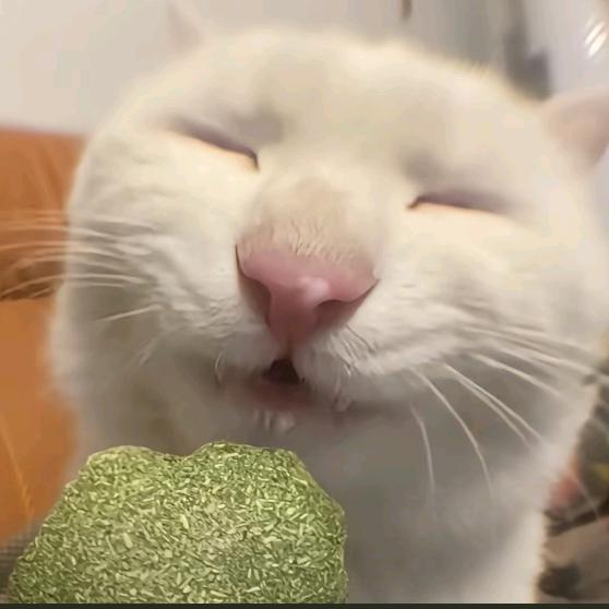 你再搞鸡毛