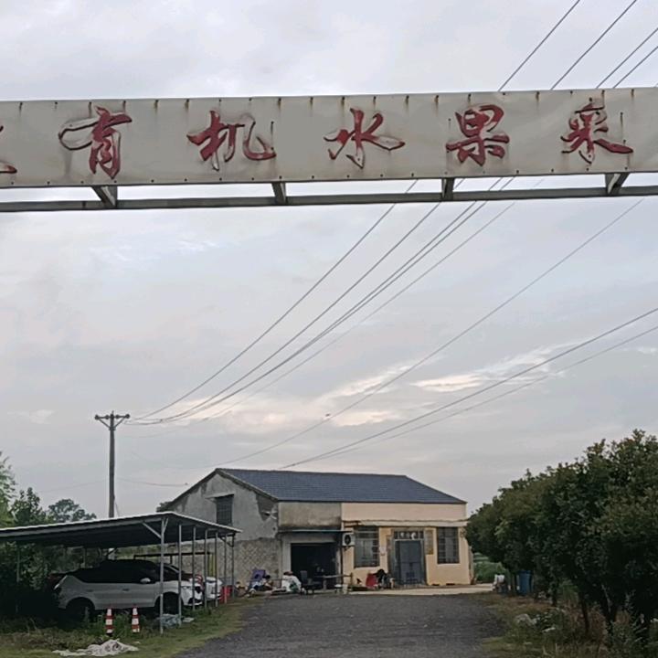 红三坡有机水果采摘园官方号
