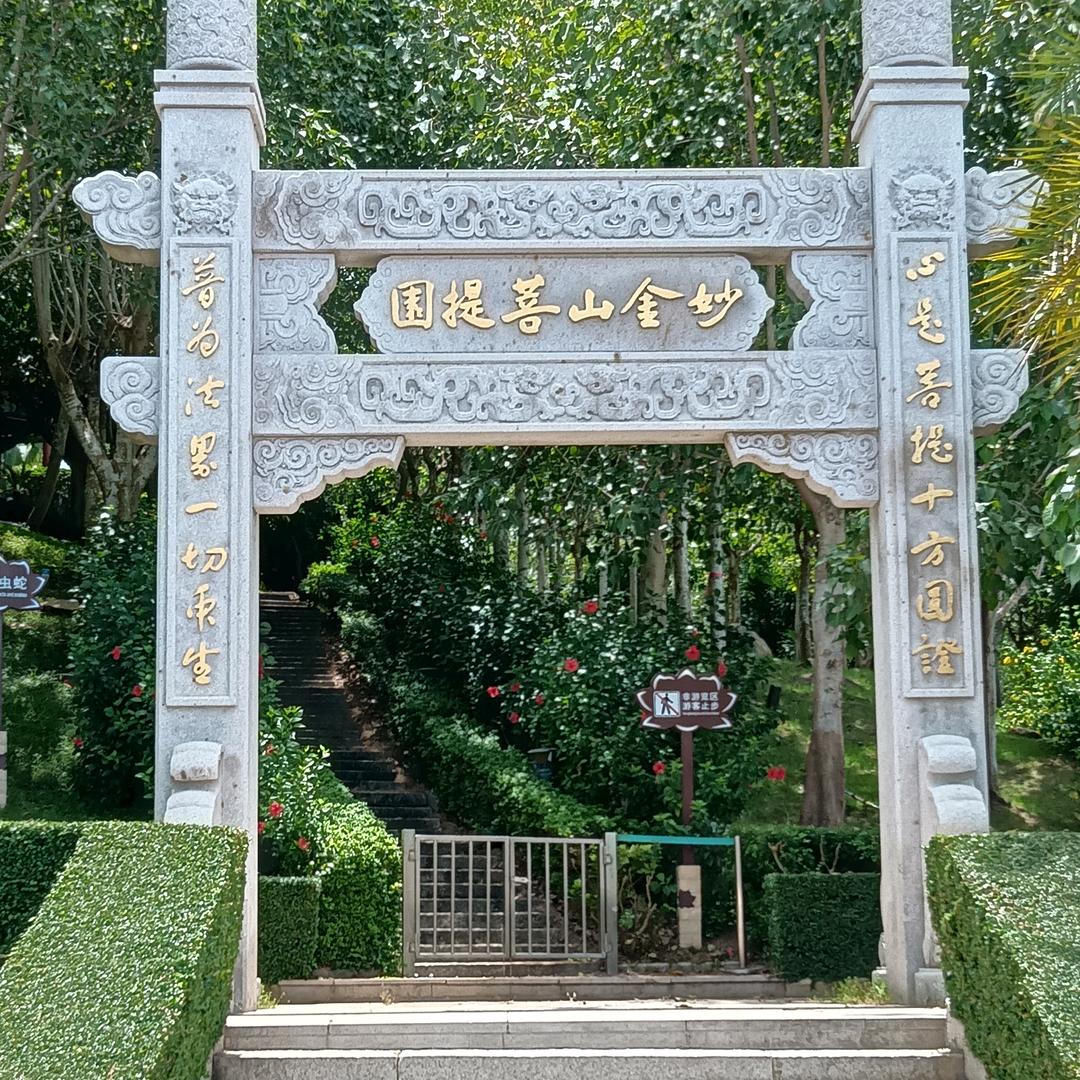 苍狼