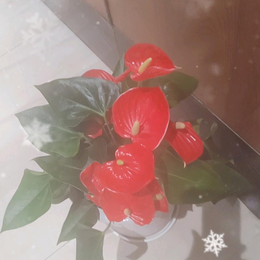 人间疾苦