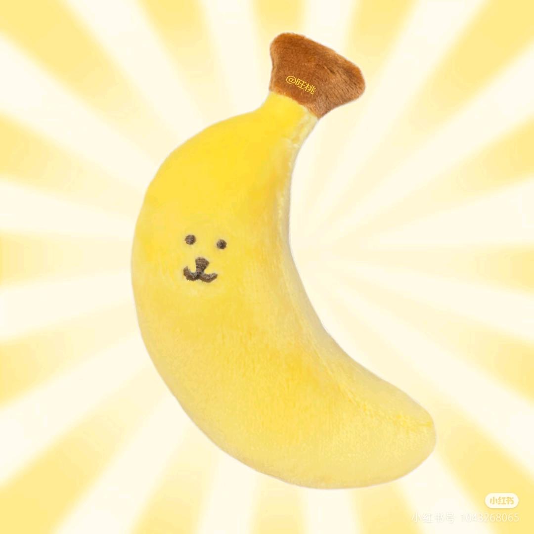 记录退休生活