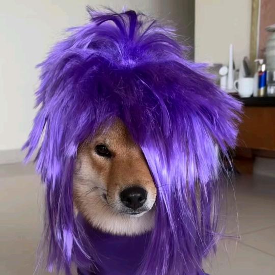 无良老板拖欠工资