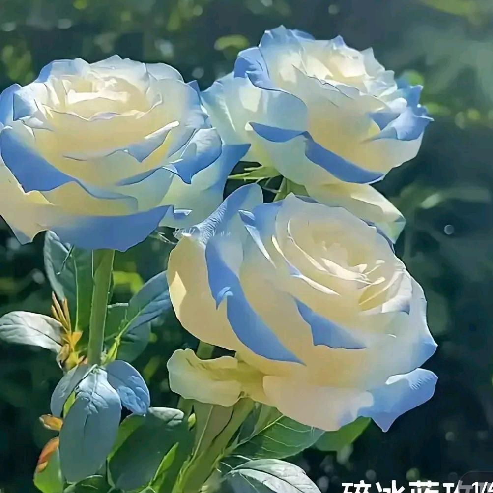 人生无退路
