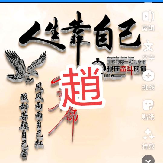 ZhjS赵