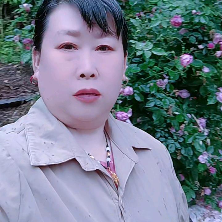 卢金香