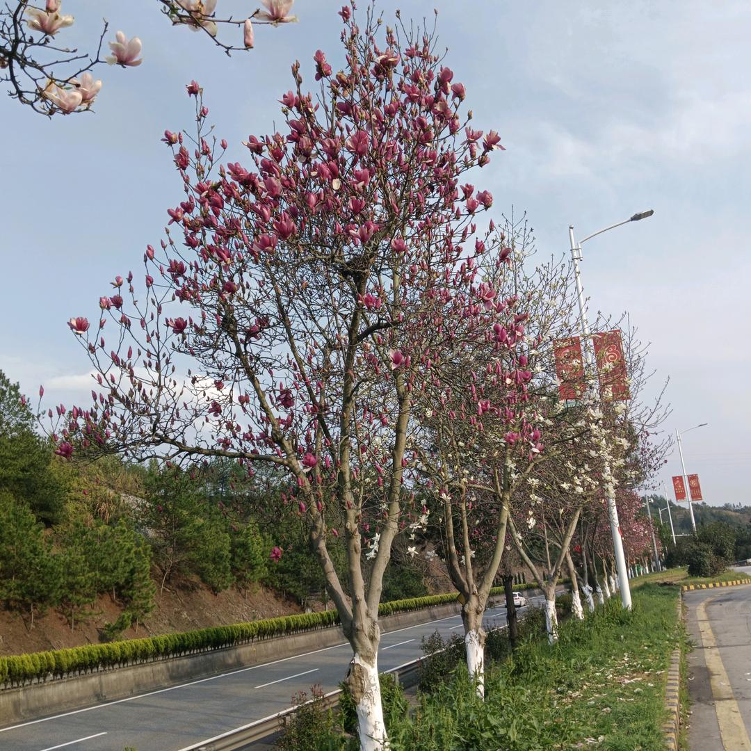 眼泪的错觉