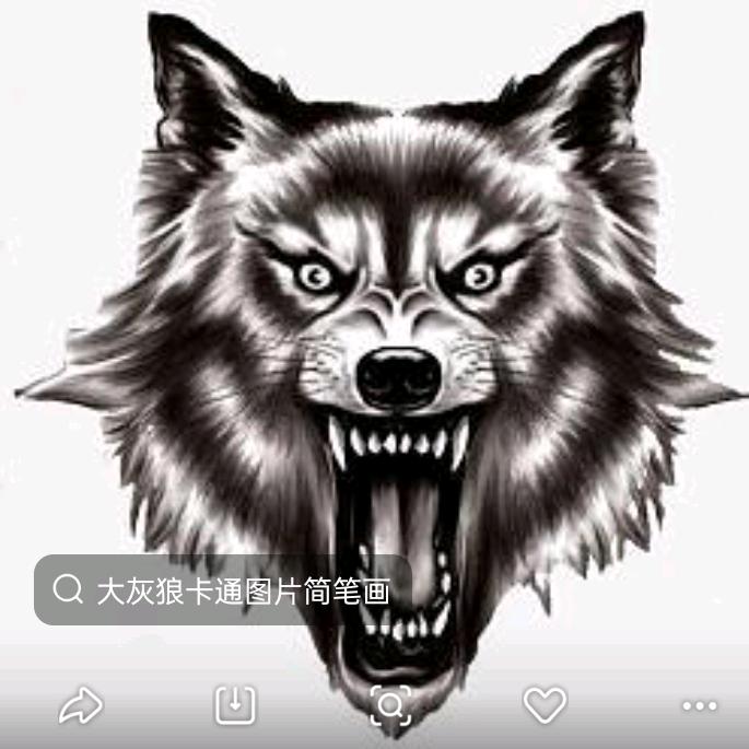 大灰狼'