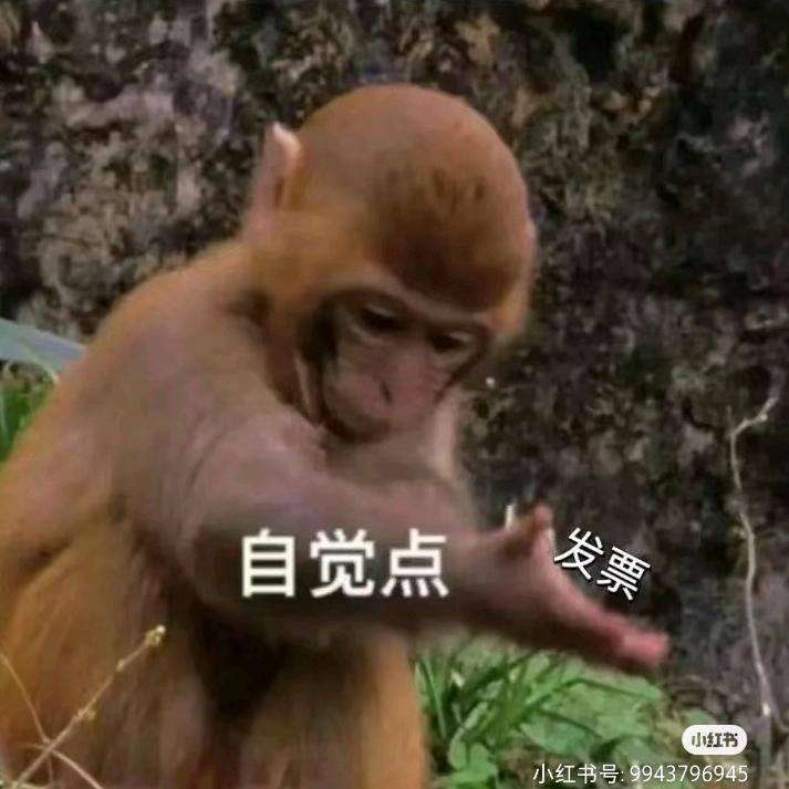 巴黎在逃圣母