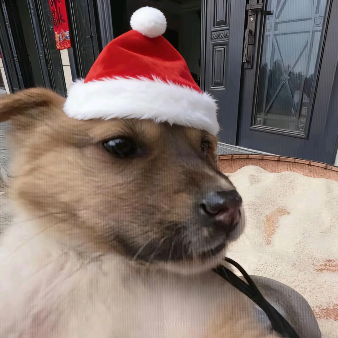 泽