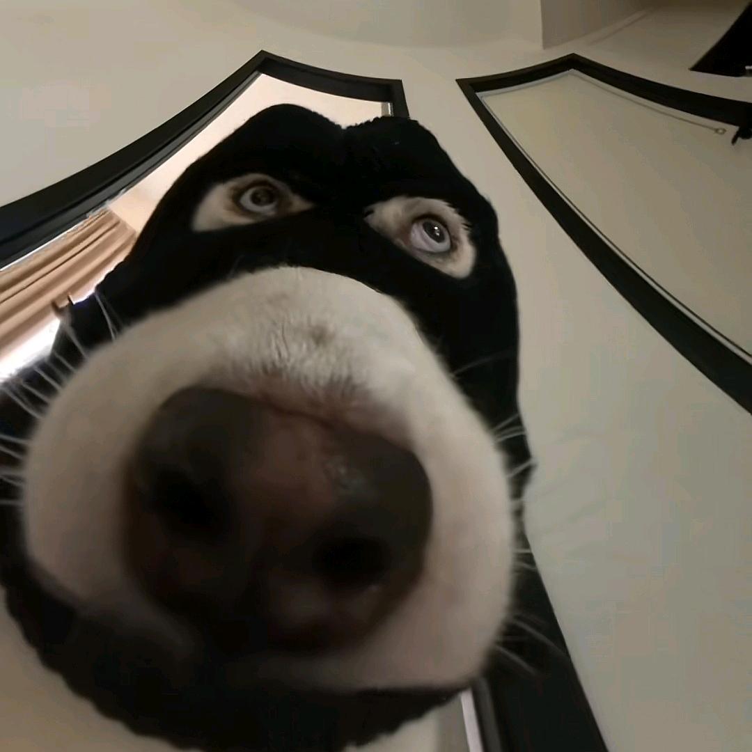 8.11