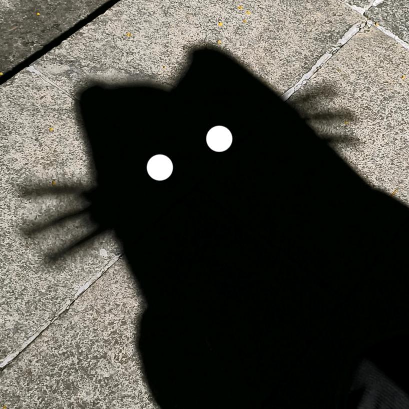 杨枝甘露 ξ( ✿＞