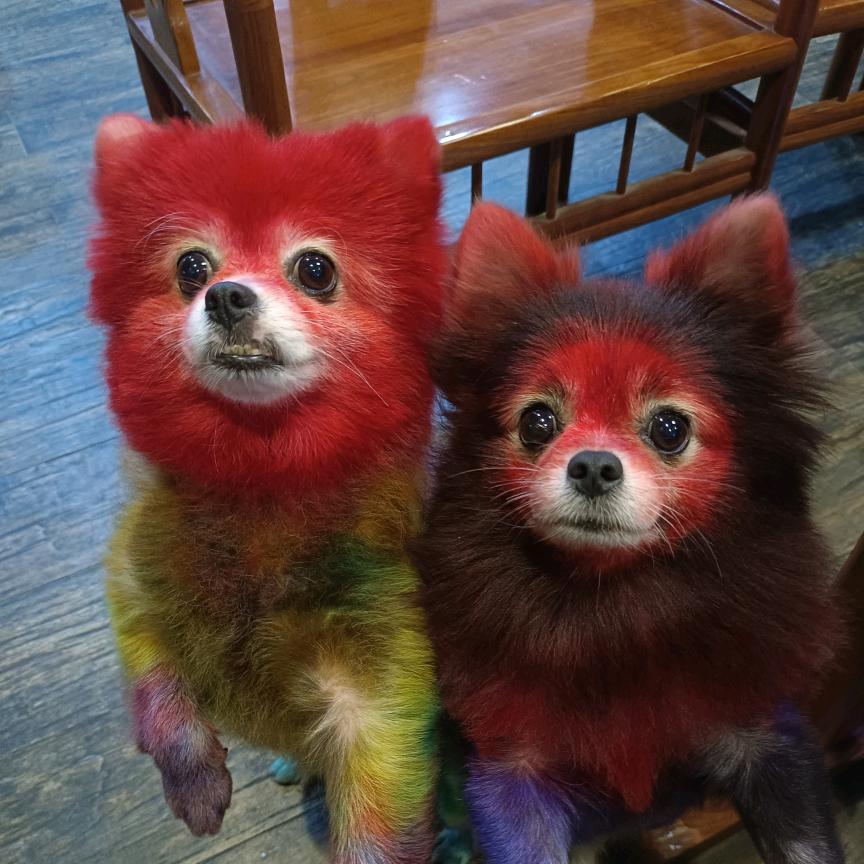 粥粥手作向前冲！