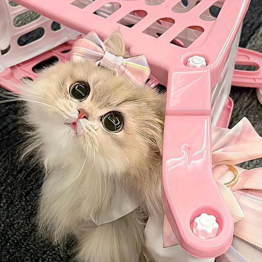 kkk。