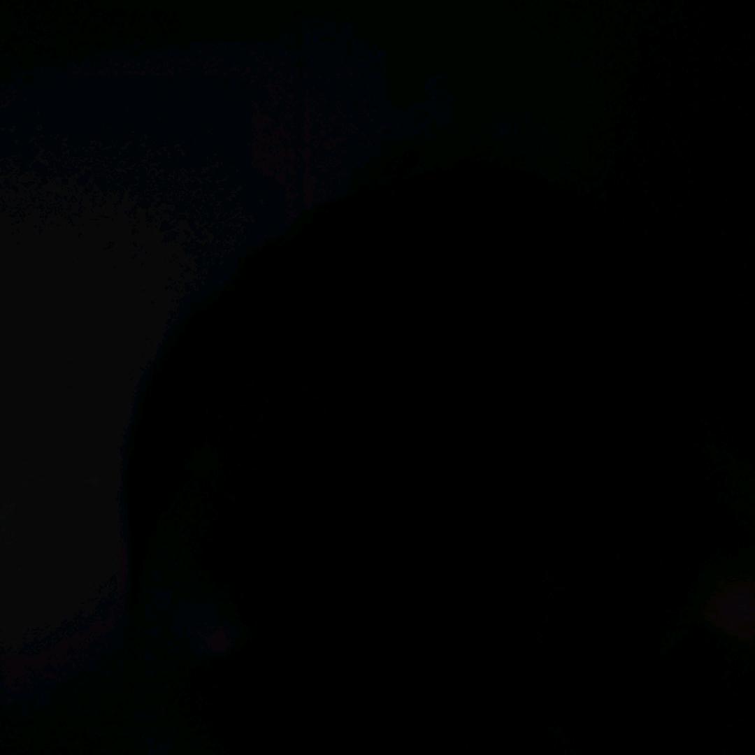 我是二保家砍川货赵小鸡