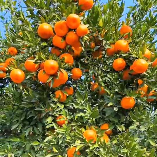 阳光【生活小常识】