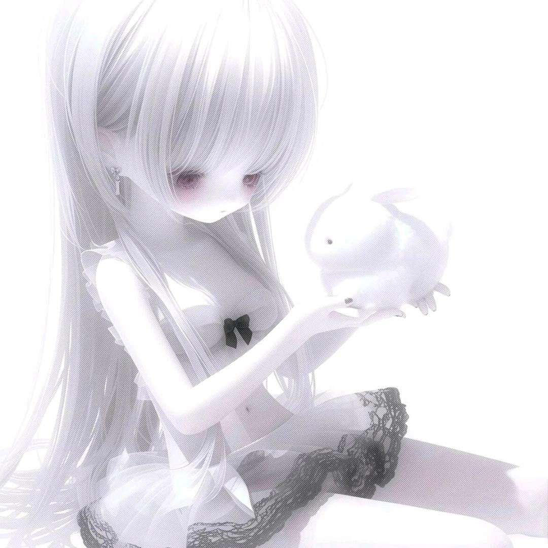 小鸟塔塔【发财版】
