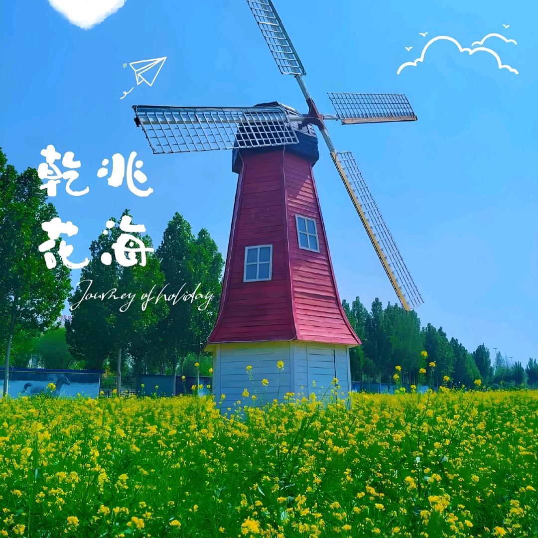 🍎🍎玉🍎🍎