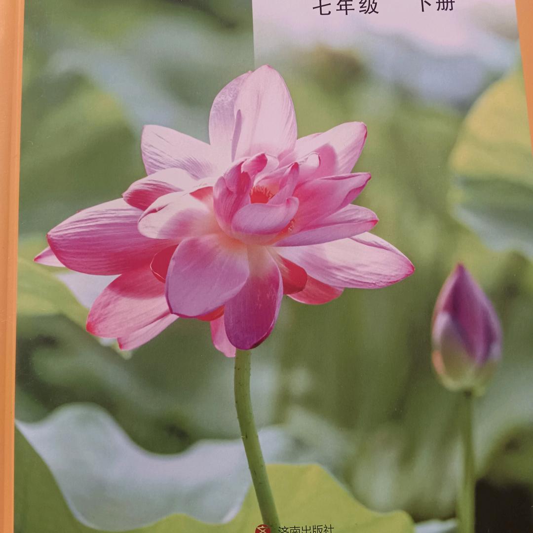 每天学习一点点