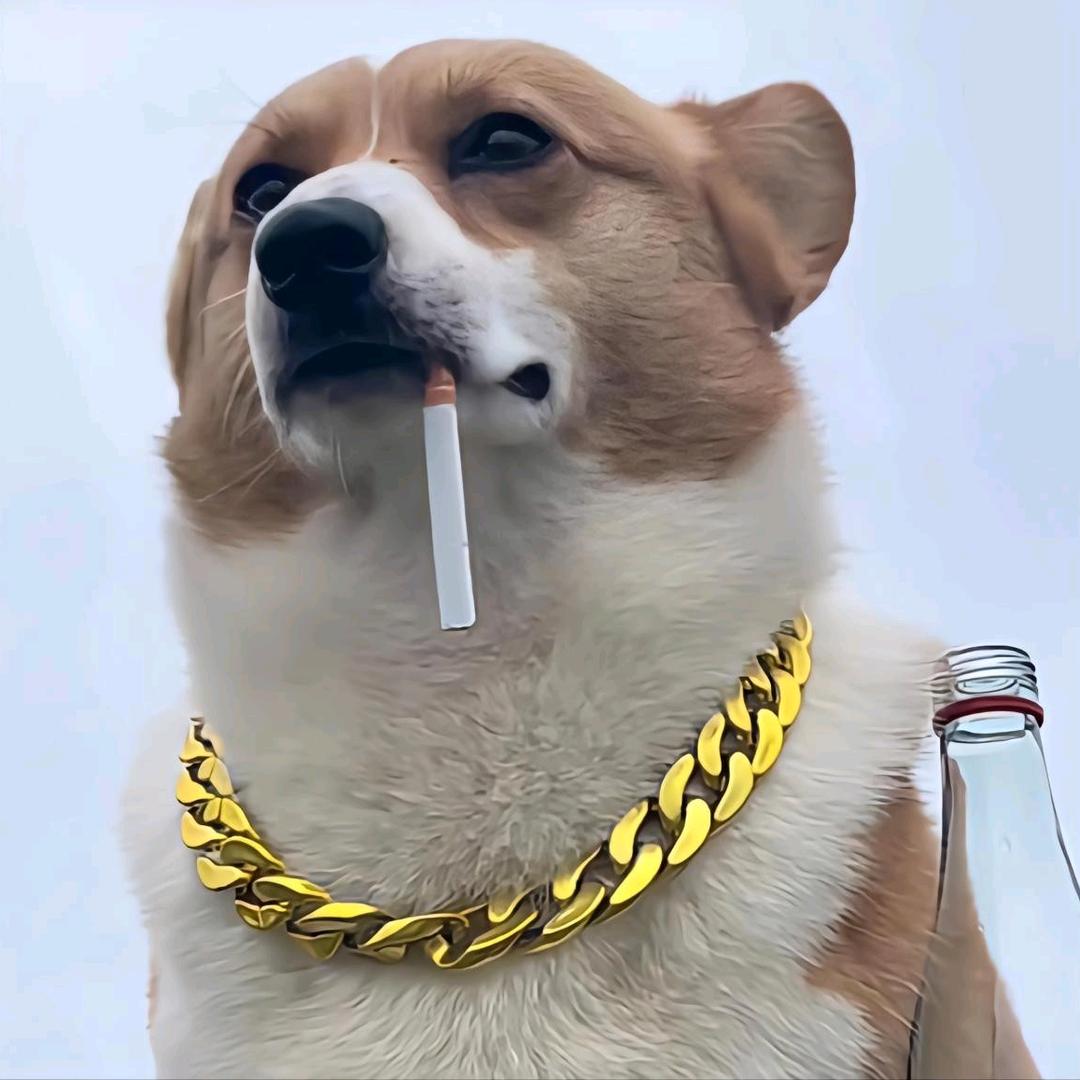度你不度她