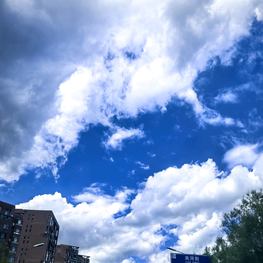 桃桃