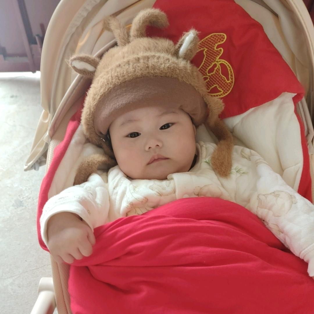 小鱼儿  成长记